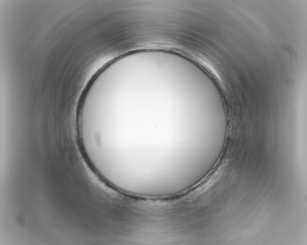 X0000111591087200907161148