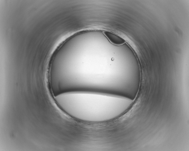 X0000111591093200907161148