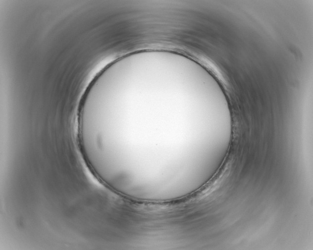 X0000111591095200907161148