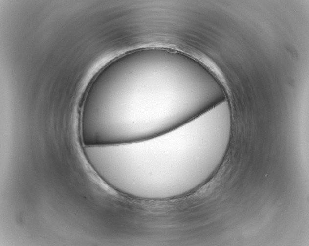 X0000111591096200907161148
