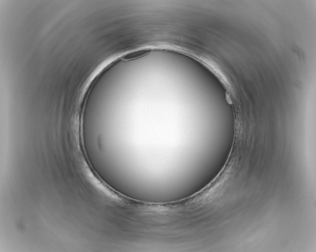 X0000111591100200907161148