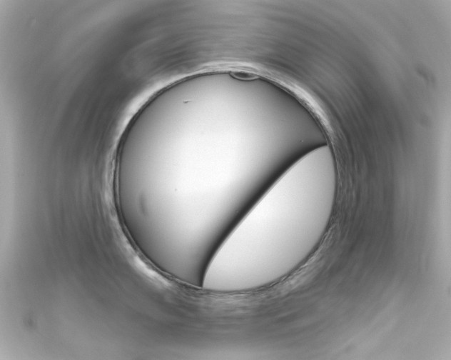 X0000111591102200907161148