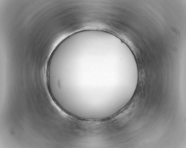 X0000111591103200907161148