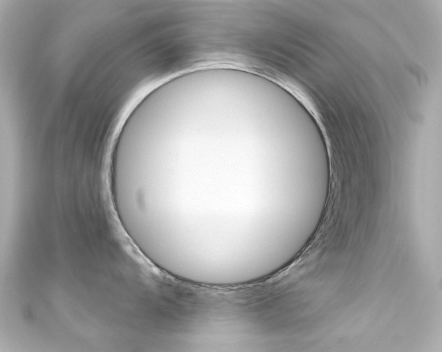 X0000111591104200907161148
