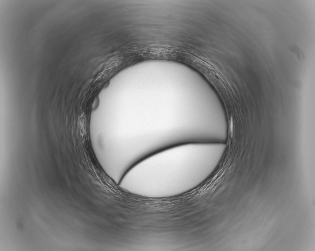 X0000111591107200907161147