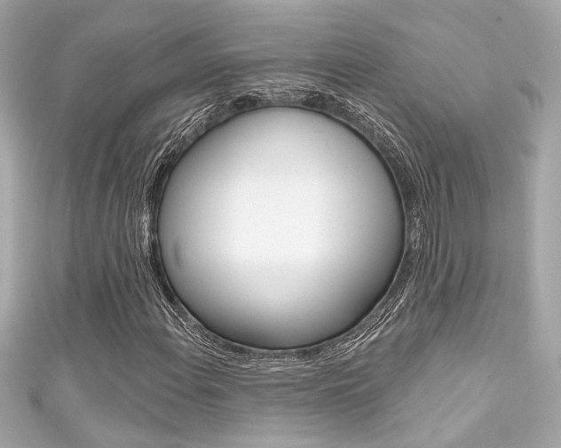 X0000111591108200907161147