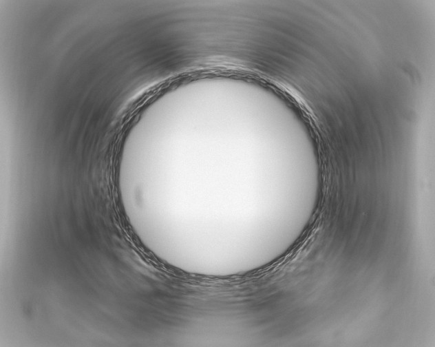 X0000111591112200907161147