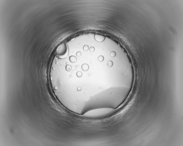 X0000111591113200907161147