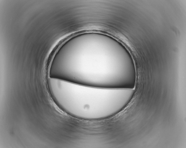 X0000111591116200907161147