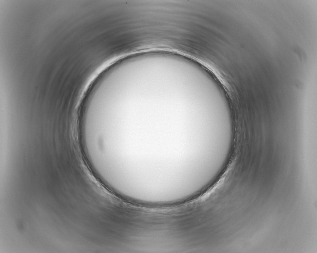 X0000111591118200907161147