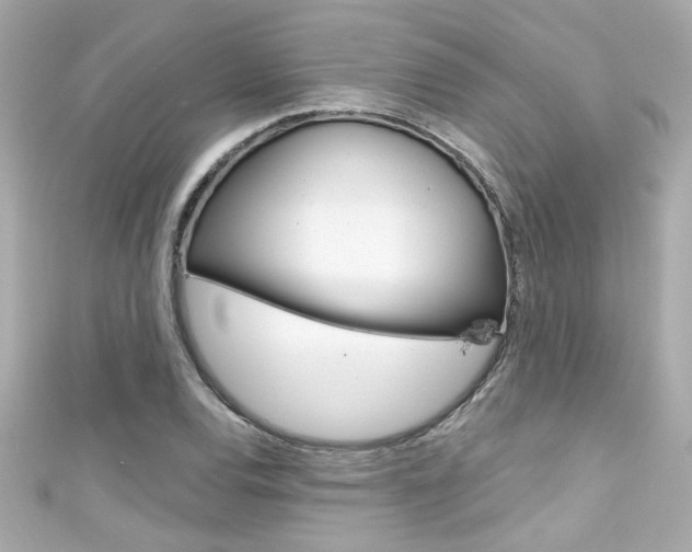 X0000111591120200907161147