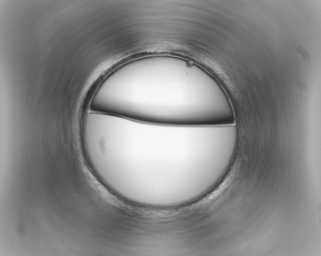 X0000111591122200907161147