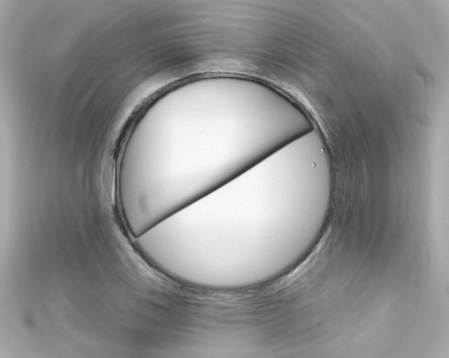 X0000111591123200907161147