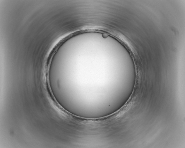 X0000111591124200907161147