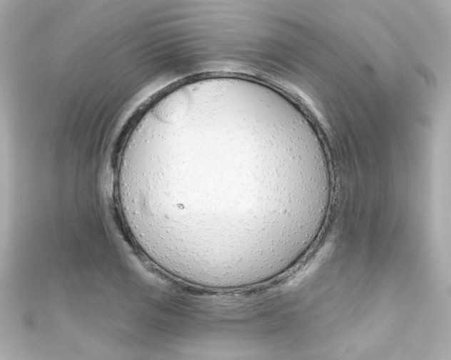 X0000111591125200907161147