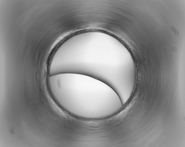 X0000111591126200907161147