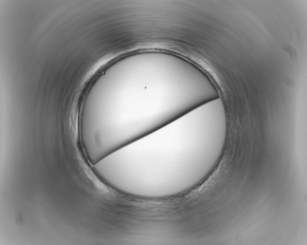 X0000111591127200907161147
