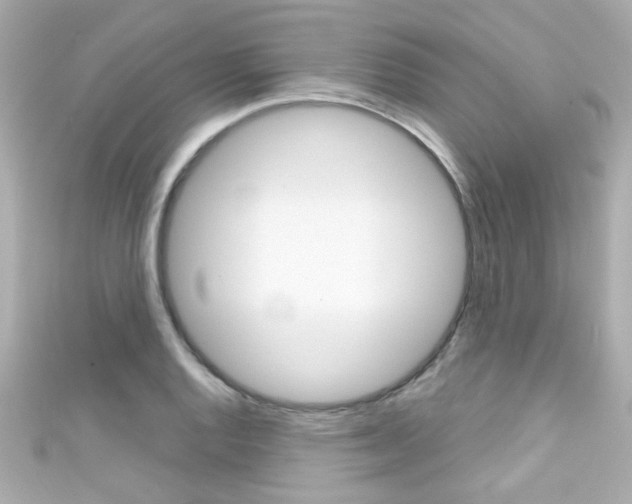 X0000111591128200907161147