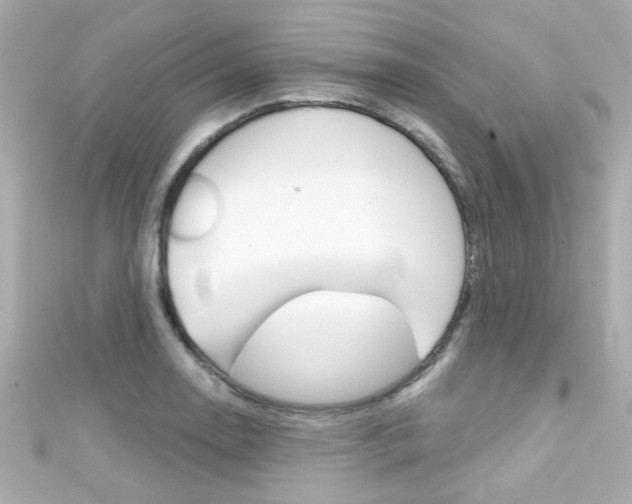 X0000111591130200907161147