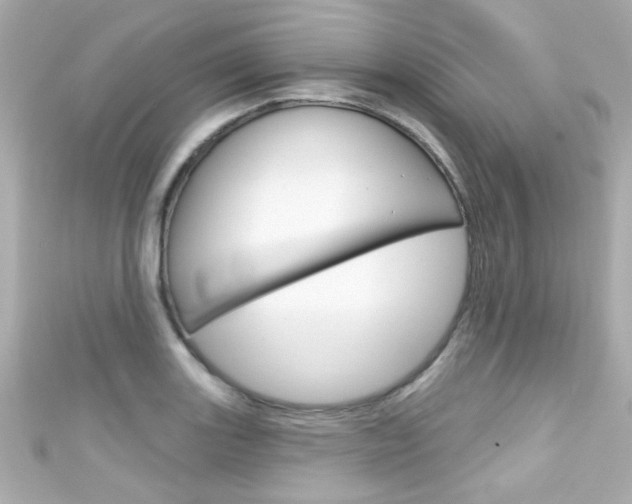 X0000111591131200907161147