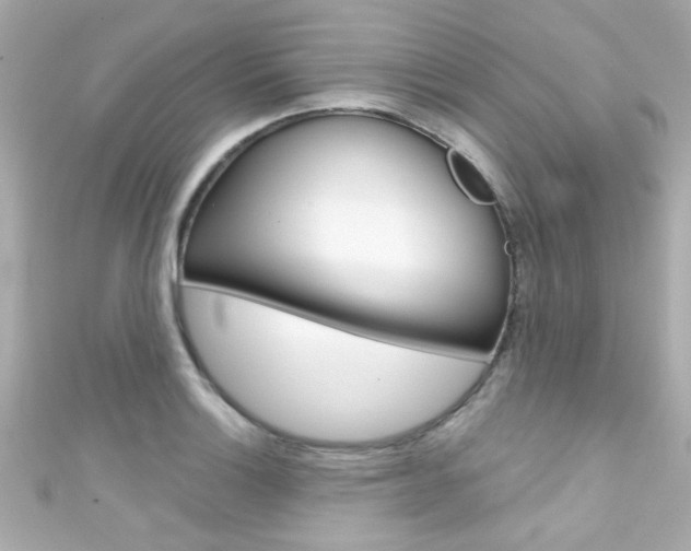 X0000111591132200907161147