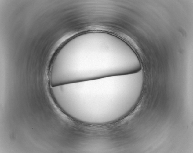 X0000111591133200907161147