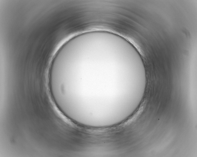 X0000111591134200907161147