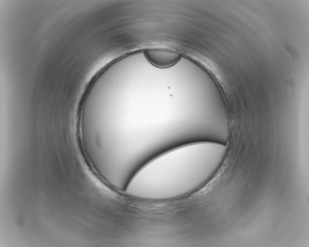X0000111591135200907161147