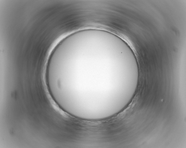 X0000111591136200907161147