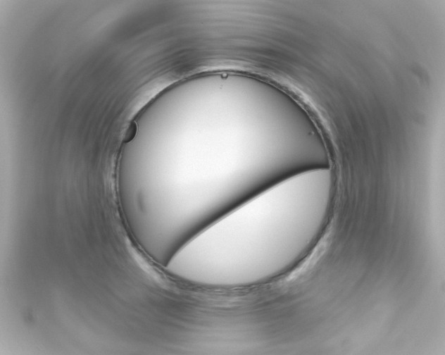 X0000111591137200907161147