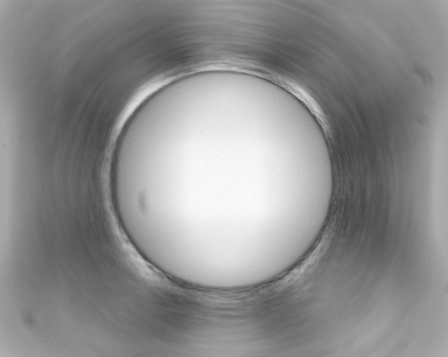 X0000111591138200907161147