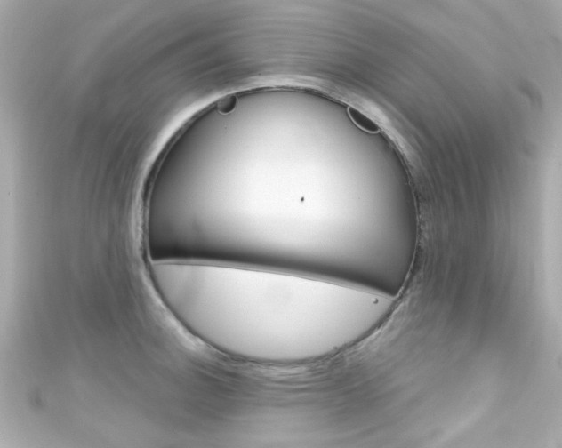 X0000111591140200907161148