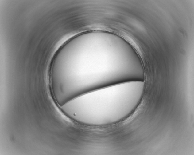 X0000111591141200907161148