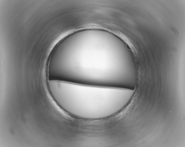 X0000111591142200907161148