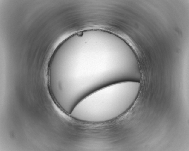 X0000111591143200907161148