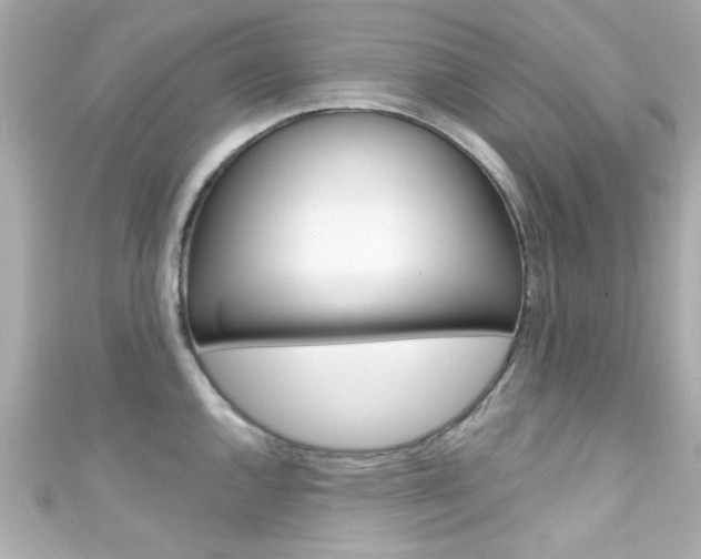 X0000111591144200907161148