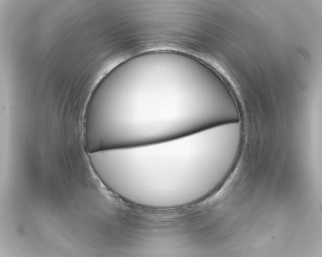 X0000111591145200907161148