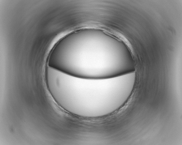 X0000111591146200907161148