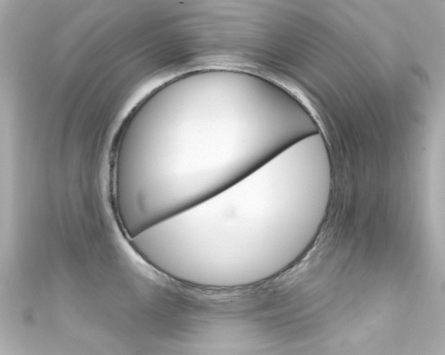 X0000111591147200907161148