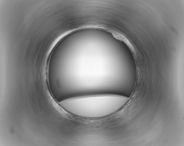 X0000111591148200907161148