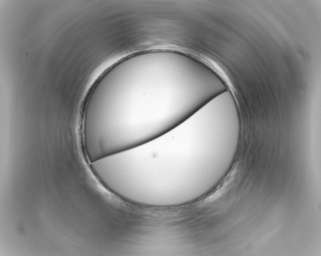 X0000111591149200907161148