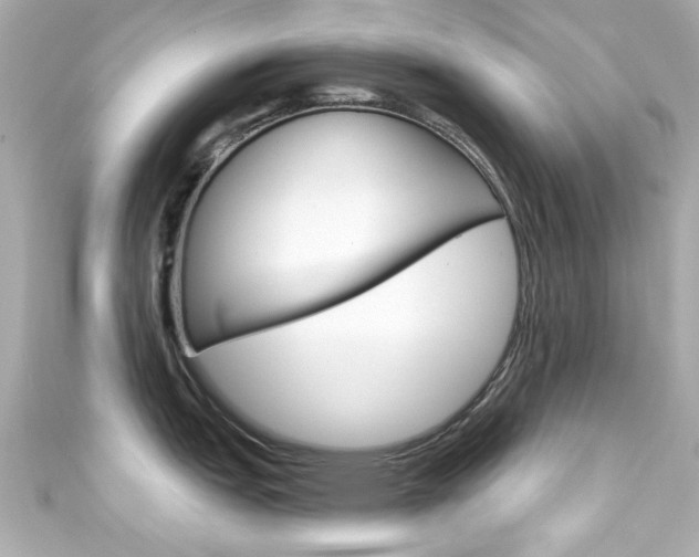 X0000111591151200907161148