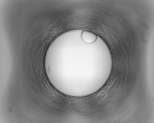 X0000111591153200907161147