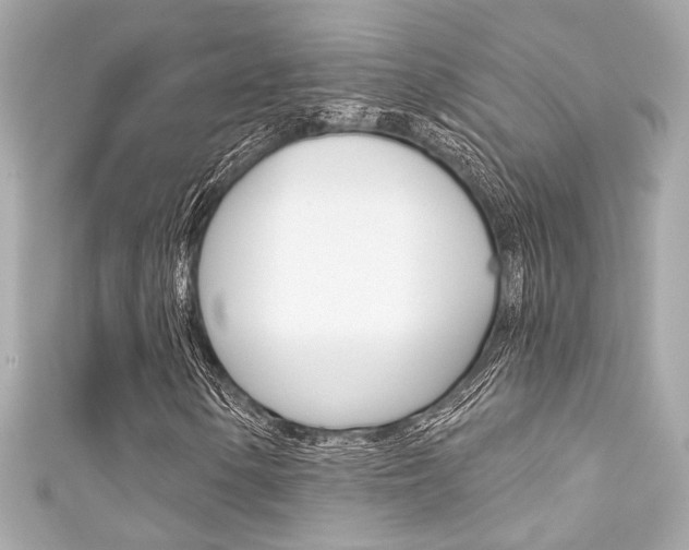 X0000111591154200907161147