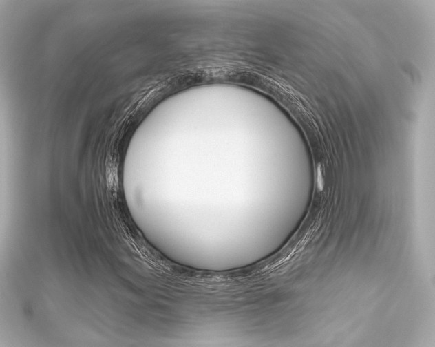 X0000111591155200907161147