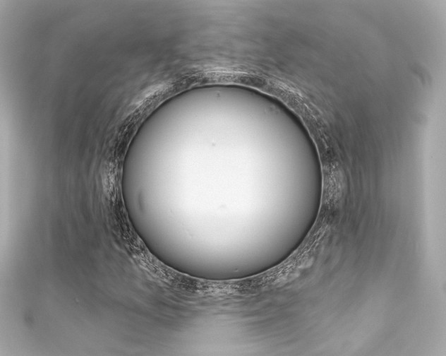 X0000111591157200907161147