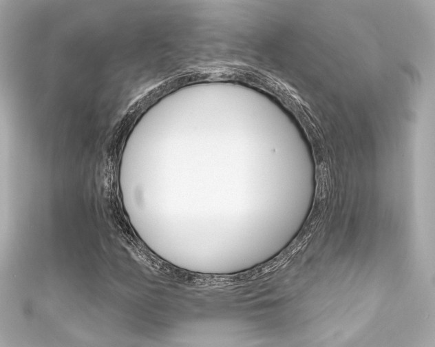 X0000111591158200907161147