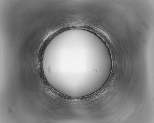 X0000111591160200907161147