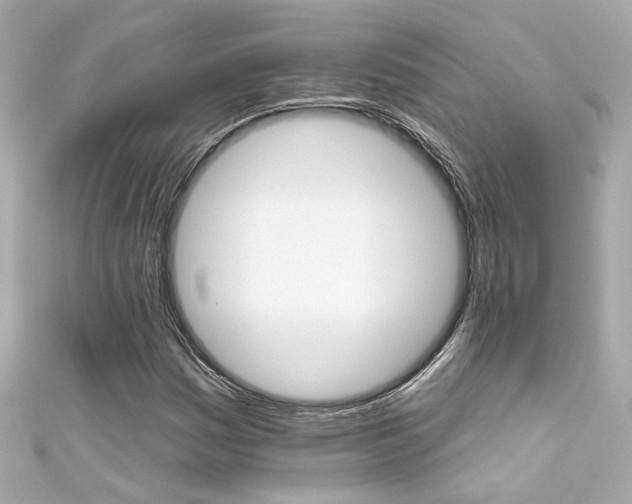 X0000111591161200907161147