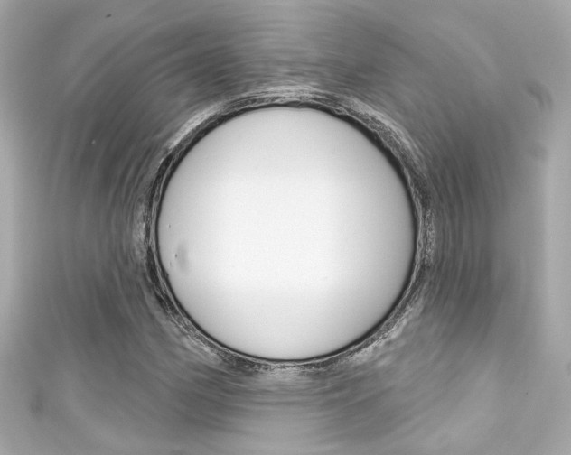 X0000111591162200907161147